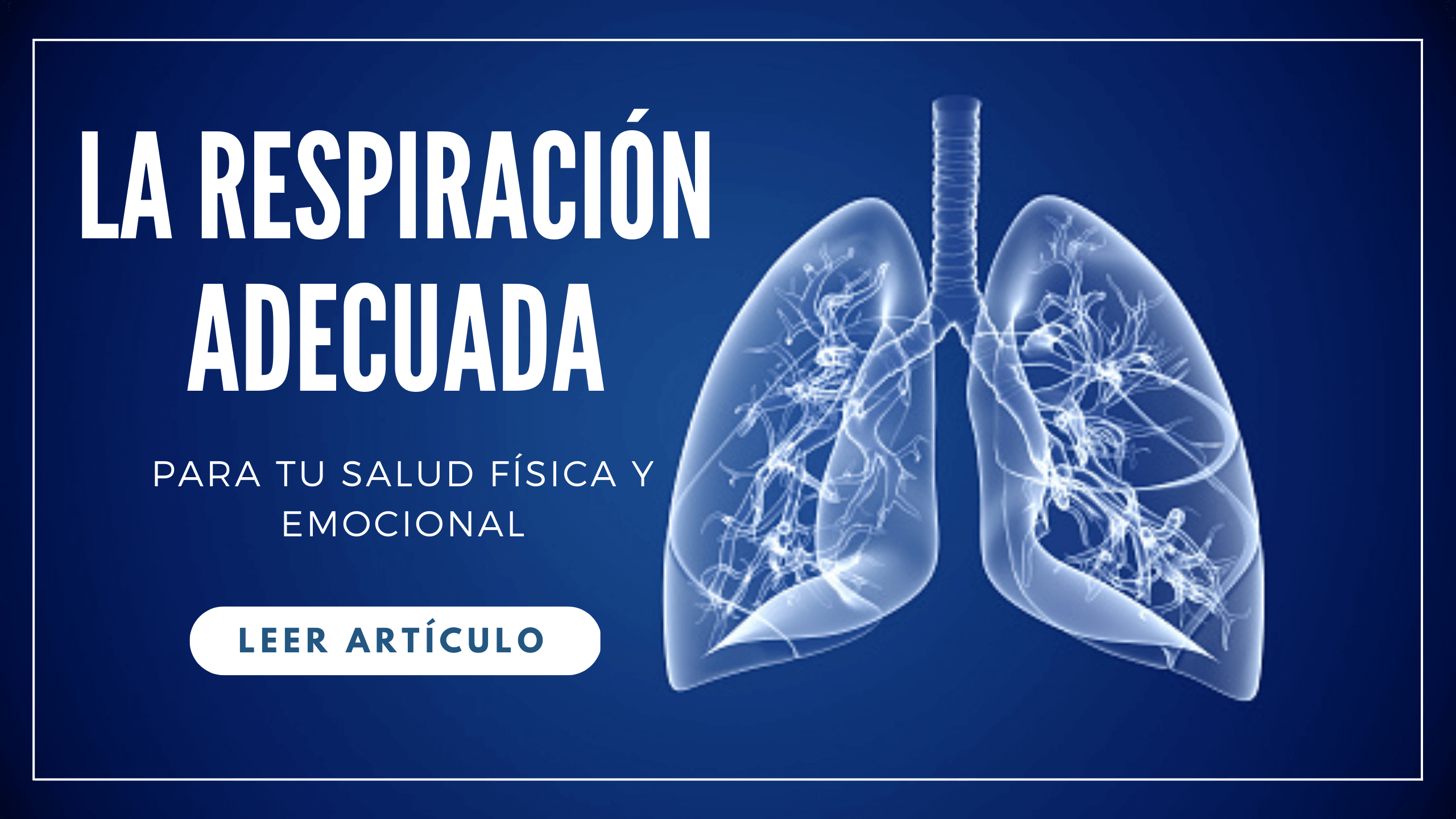 Renato Pazmiño » La Importancia De La Respiración Adecuada Para Tu ...